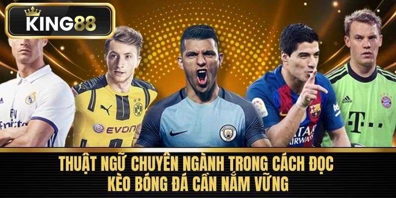 Thuật ngữ chuyên ngành trong cách đọc kèo bóng đá cần nắm vững