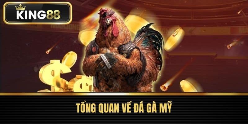 Tổng quan về đá gà Mỹ