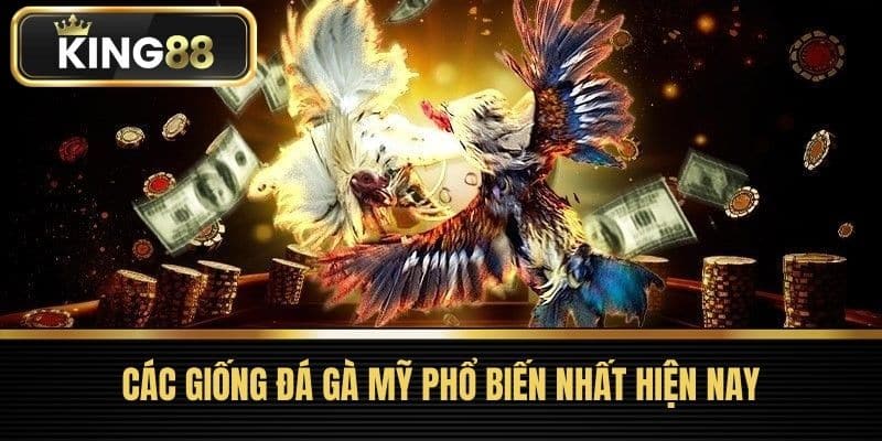 Các giống đá gà Mỹ phổ biến nhất hiện nay